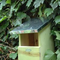Nestkast Roodborst - thumbnail