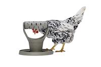 Beeztees Kip speel- en snacktoren grijs - thumbnail