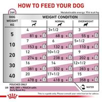 Royal Canin Early Renal natvoer Hond 12x100 gram - thumbnail