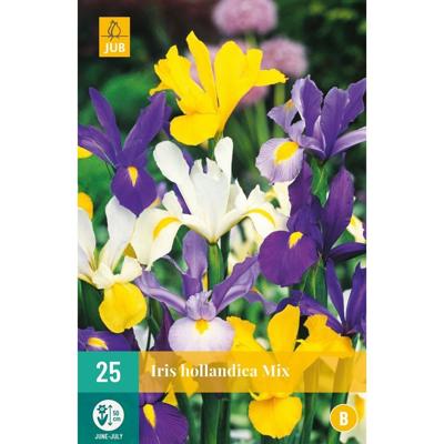 Bloembollen Iris Hollandica Mix 25st
