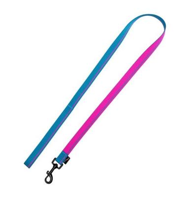 Jack and Vanilla Hondenriem - Nylon - Roze / blauw - Lengte 120 cm - Breedte 2 cm