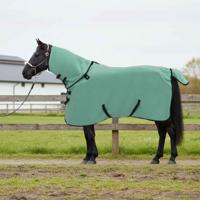 VidaXL Paardendeken speciale groen polyester - thumbnail