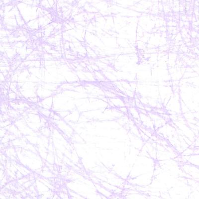 Vaessen Creative • sizoflor 5mx30cm in koker lavender