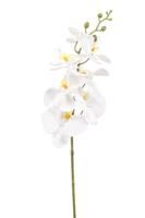 Emerald kunsttak phalaenopsis 84cm wit - thumbnail