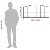 VidaXL Wandspiegel boog 100x50 cm ijzer zwart - thumbnail