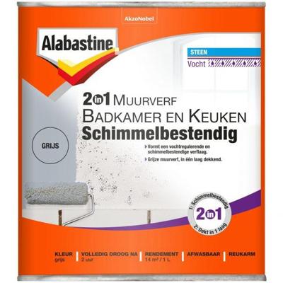 Alabastine 2In1 Muurverf Badk. En Keuken 1L - 5096068 - 5096068