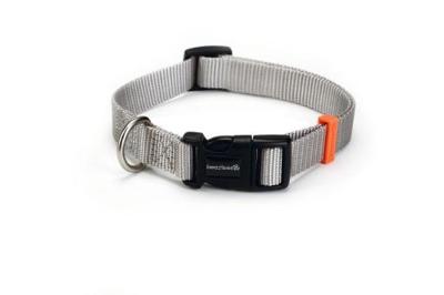 Beeztees uni - halsband hond - lichtgrijs - 20-30 cm x 10 mm