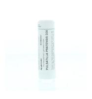 Pulsatilla pratensis D30 6 Gram - thumbnail