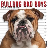Bulldog Bad Boys Kalender 2026 - thumbnail