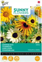 Zaden Sunny Flowers Zonnebloem Esther Buzzy - Buzzy - thumbnail
