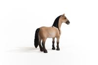 Schleich horse club - criollo definitivo merrie - speelfiguur - kinderspeelgoed voor jongens en meisjes - 5 tot 12 jaar - 13948 - thumbnail
