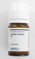 VSM Solidago virgaurea D6 (200 tab) - thumbnail