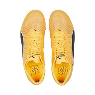 PUMA evoSPEED Distance 11 Heren