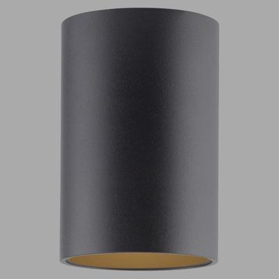 Paul Neuhaus Plafond opbouwspotPure Point Ø 6cm - black pearl - 6749-18