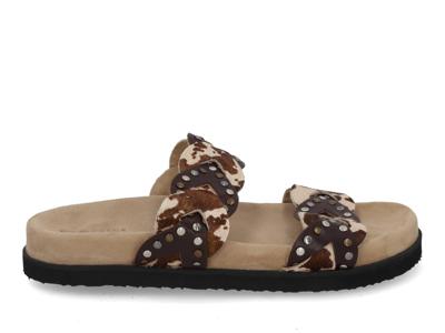 Maruti Evie cow dark brown multi bruin maat 37