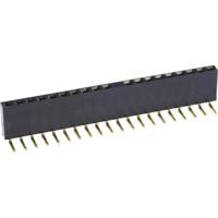 econ connect Female header (standaard) Aantal rijen: 1 Aantal polen per rij: 4 BL4/1W8 1 stuk(s) - thumbnail