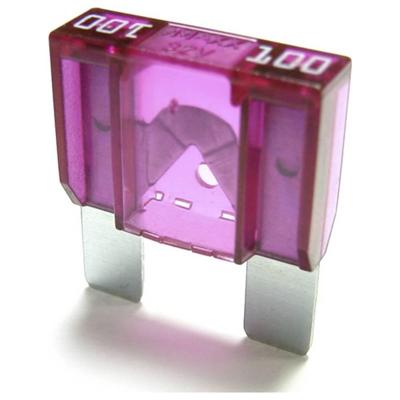 iMaXX maxiOTO F9100 Platte maxizekering 100 A 1 stuk(s)