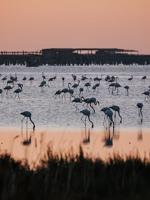 OM SYSTEM M.Zuiko Digital ED 100-400mm F/5.0-6.3 IS - thumbnail