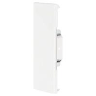 Hager BRS6517069016 Eindstuk (b x d) 170 mm x 68 mm Wit 1 stuk(s) - thumbnail