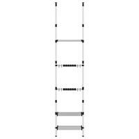 VidaXL Tuinrek met 3 schappen telescopisch aluminium zilverkleurig - thumbnail