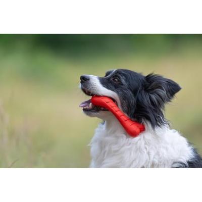 JACK AND VANILLA, Kauwbot van 100% natuurlijk rundvlees voor honden, stimuleert kauwen en tandhygiëne, maat 16 cm, natuurlijke kleur, model Playscent
