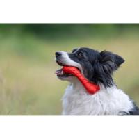 JACK AND VANILLA, Kauwbot van 100% natuurlijk rundvlees voor honden, stimuleert kauwen en tandhygiëne, maat 16 cm, natuurlijke kleur, model Playscent - thumbnail