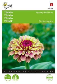 Zaden zinnia queeny red lime 25 zaden Buzzy - Buzzy Zaden zinnia queeny red lime 25 zaden Buzzy - Buzzy