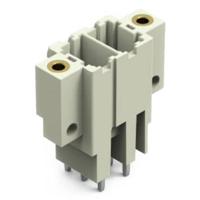 WAGO 831-3602/108-000 Male header (standaard) Totaal aantal polen: 2 Rastermaat: 7.62 mm Inhoud: 48 stuk(s) - thumbnail