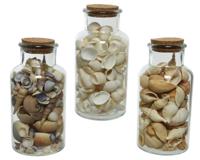 Fles schelp d8h16 cm naturel a3 Decoris - Decoris - thumbnail