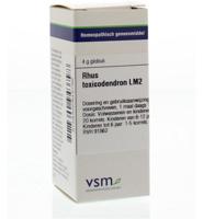 VSM Rhus toxicodendron LM2 (4 gr) - thumbnail