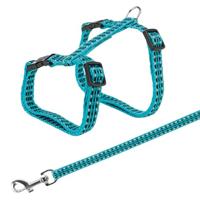 TRIXIE KATTENTUIG MET RIEM METALEN GESPEN REFLECTEREND ASSORTI 22-42X1 CM 120 CM 4 ST - thumbnail