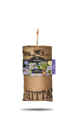 Baza hangtuintje bio phacelia Baza hangtuintje bio phacelia