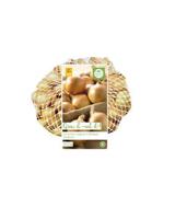 Netlon plantuien sturon JUB 500 bloembollen - Jub - thumbnail