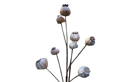 Bruine bollen Buitengewoon de Boet - Buitengewoon de boet