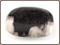 Zaksteen Fossiel Hout - thumbnail