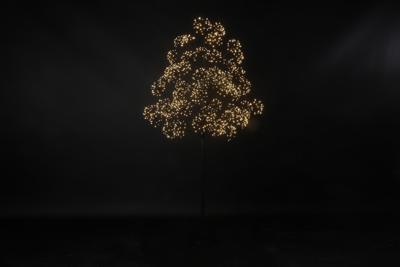 Kerstboom LED Dorion L zwart Countryfield - Countryfield Kerstboom LED Dorion L zwart Countryfield - Countryfield
