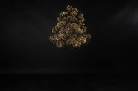 Kerstboom LED Dorion L zwart Countryfield - Countryfield - thumbnail