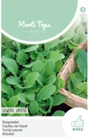 Zaden Raapstelen Groene Hortitops - Hortitops - thumbnail
