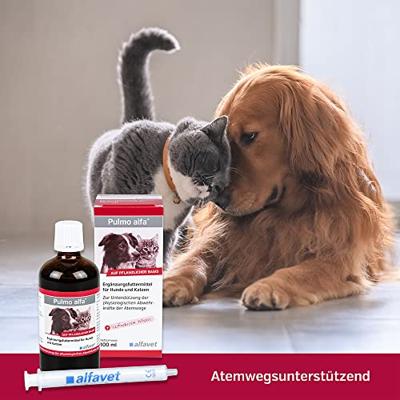 Fendiresp hoestsiroop voor hond en kat 100 ml