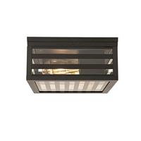 QAZQA Moderne buiten plafondlamp zwart glas 2-lichts IP44 - Reims - thumbnail