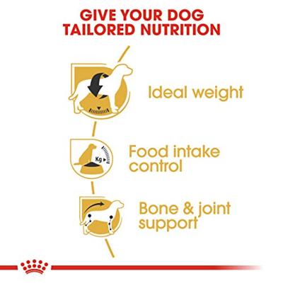 Royal Canin Beagle Adult hondenvoer 12kg - thumbnail
