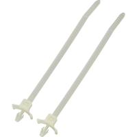 TRU COMPONENTS 1592911 TC-PWVS100203 Kabelbinder 112 mm 2.50 mm Natuur Met spreidanker 1 stuk(s) - thumbnail