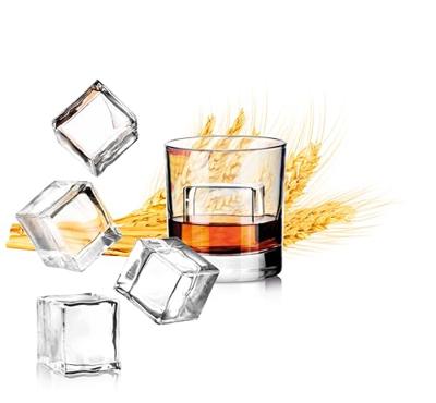 Ijsblokjesvorm Tescoma mydrink cubos xxl Siliconen