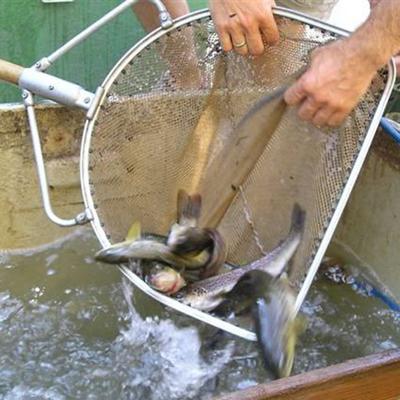 FIAP 1615 Schepnet Maasbreedte: 5 mm