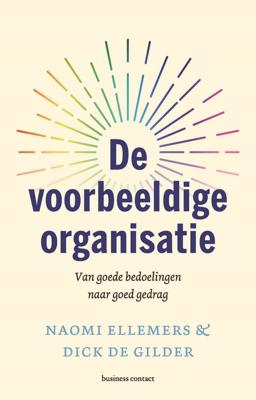 De voorbeeldige organisatie - Naomi Ellemers, Dick de Gilder - ebook