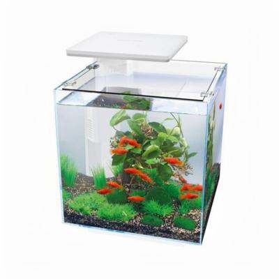 Aquarium Qubiq 30 pro wit Superfish - Superfish Aquarium Qubiq 30 pro wit Superfish - Superfish