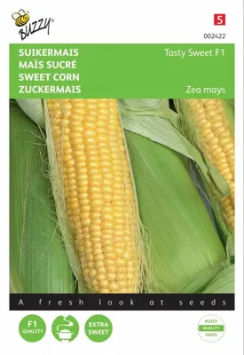 Zaden Suikermais Tasty Sweet F1 Buzzy - Buzzy