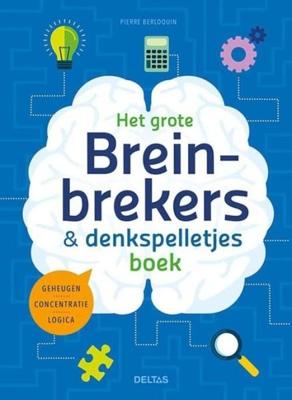 Het Grote Breinbrekers En Denkspelletjes Boek