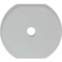 Berker Glasserie middenafdekraam 1 voudig voor schakelaars - thumbnail