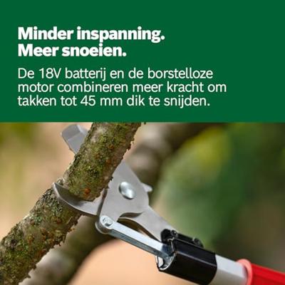 Accu-snoeischaar 18V-45